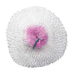 Companion S2 Single Tie LP Gas Lantern Mantles 3pk