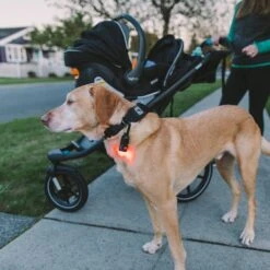 Gear Aid Carabiner Light Kit 9 Gear Aid Carabiner Light Kit -Sawyer Shop 80710 2