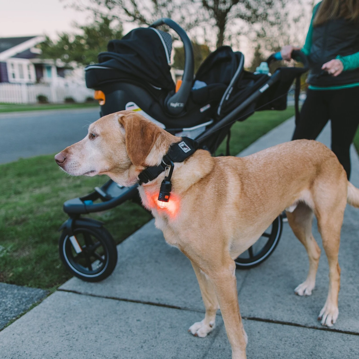 Gear Aid Carabiner Light Kit 5 Gear Aid Carabiner Light Kit - Image 3
