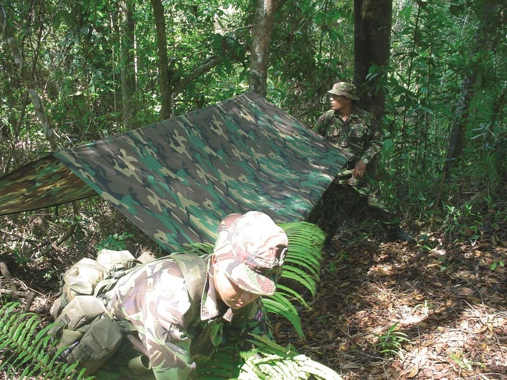 Fox Lightweight Army Basha Tarp - Camo Woodland DPM 3 Fox Lightweight Army Basha Tarp - Camo Woodland DPM