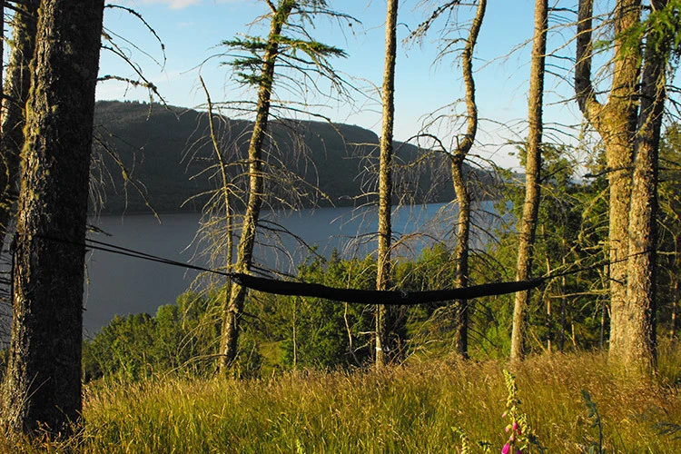 DD Hammocks Sleeve XL (Olive Green) 7 DD Hammocks Sleeve XL (Olive Green) - Image 5