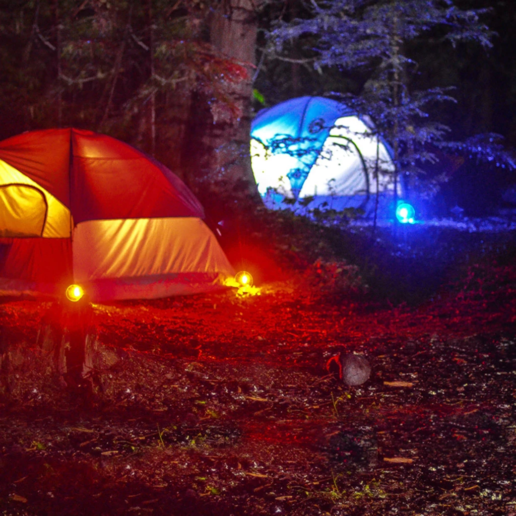 UCO RGB LED Glow In The Dark StakeLight Tent Peg 2 Pack 4 UCO RGB LED Glow In The Dark StakeLight Tent Peg 2 Pack - Image 2