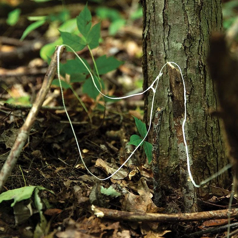 OD Green Parapocalypse Ultimate Dyna X 11-Strand Paracord 5 OD Green Parapocalypse Ultimate Dyna X 11-Strand Paracord - Image 3